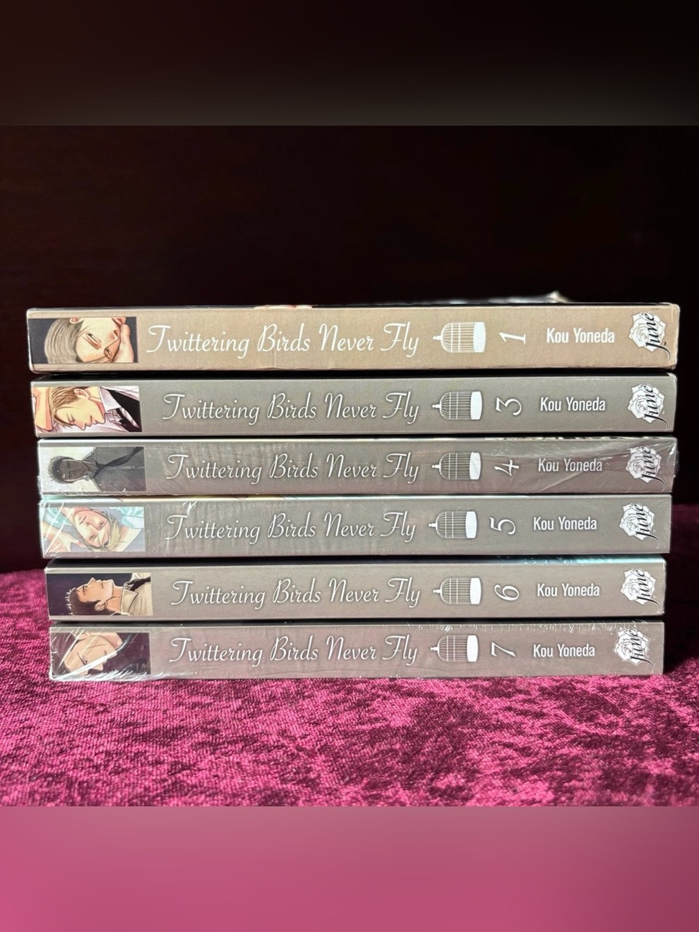 Twittering Birds Never Fly Yaoi Manga set